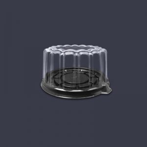 C15N-300x300 C15N-300x300