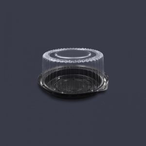 P15N-300x300 P15N-300x300