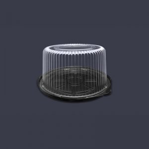 P20AN-300x300 P20AN-300x300