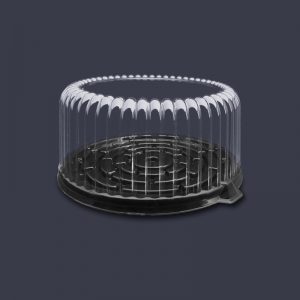 P23AN-300x300 P23AN-300x300