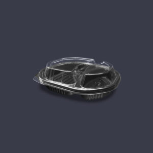 CPP2319-43-2D-300x300 CPP2319-43-2D-300x300