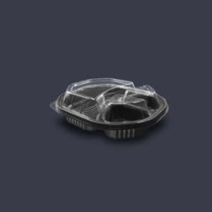 CPP2319-43N-3D-300x300 CPP2319-43N-3D-300x300